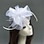ieftine Pălării &amp; Fascinatoare-pălărie cu pene / plasă fascinatoare Kentucky Derby pălărie / copac cu pene / floral / floare 1 buc nuntă / ocazie specială / casă pentru curse de cai