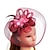 abordables Chapeaux et coiffes-Plume / Filet Chapeau Kentucky Derby / Fascinateurs / Chapeaux avec Plume / Fleur 1 pc Mariage / Occasion spéciale / Course de chevaux Casque