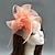 abordables Tocados-fascinadores de plumas / red sombrero derby de kentucky / tocado con plumas / floral / flor 1 pieza boda / ocasión especial / tocado de carrera de caballos