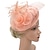 levne Fascinátory-peří / síť fascinators kentucky derby klobouk / květiny / pokrývky hlavy s květinami 1ks zvláštní příležitost / dostihy / dámská čelenka
