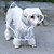 Недорогие Одежда для собак-Собаки Коты Животные Дождевик Одежда для щенков Простой Однотонный Спорт и отдых прозрачный на открытом воздухе Одежда для собак Одежда для щенков Одежда Для Собак Белый Синий Пурпурный Костюм
