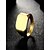 preiswerte Ringe-Bandring Golden Silber Titanstahl vergoldet Modisch Einfacher Stil 7 8 9 1 / Herren / Herren