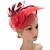 ieftine Pălării &amp; Fascinatoare-pălărie cu pene / plasă fascinatoare Kentucky Derby / flori / căciuli pentru cap cu floral 1 buc ocazie specială / cursă de cai / caciulă pentru femei