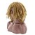 cheap Synthetic Trendy Wigs-Synthetic Wig Curly Asymmetrical Wig Blonde Short Medium Length P-Strawberry Blonde / Bleach Blonde Synthetic Hair Women&#039;s Natural Hairline African American Wig Blonde