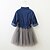 cheap Dresses-Kids Toddler Girls&#039; Sweet Cute Party Holiday Solid Colored Mesh Long Sleeve Knee-length Dress Blue