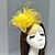 abordables Chapeaux et coiffes-Plume / Filet Casque avec Plume / Fleur 1pc Mariage / Occasion spéciale / Course de chevaux Casque