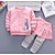 ieftine Seturi-Bebelus Fete De Bază Zilnic Mată Bloc Culoare Peteci Manșon Lung Regulat Set de îmbrăcăminte Roșu-aprins Galben Roz Îmbujorat