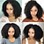 abordables Pelucas del cordón sintéticas-Synthetic Wig Synthetic Lace Front Wig Curly Layered Haircut Side Part Lace Front Wig Short Natural Black #1B Dark Brown#2 Synthetic Hair 14 inch Women&#039;s with Baby Hair Adjustable Natural Hairline