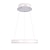 abordables Éclairages circulaires-2 lumières LED Lampe suspendue Métal Acrylique Cercle Anneau Finitions Peintes Moderne contemporain 110-120V 220-240V