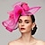 abordables Tocados-flores pluma red kentucky derby sombrero tocados tocado con pluma floral 1pc carrera de caballos damas día melbourne copa tocado