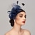 cheap Fascinators-Feather / Net Kentucky Derby Hat / Fascinators / Headpiece with Feather / Floral / Flower 1pc Wedding / Horse Race / Ladies Day Headpiece