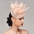 billiga Hattar och fascinators-fascinators feather net kentucky derby hatt fascinators headpiece med fjäder blommig blomma 1st bröllop hästkapplöpning damer dag melbourne kopp headpiece