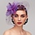Χαμηλού Κόστους Fascinators-φτερό / δίχτυ fascinators καπέλο kentucky derby / headpiece με φτερό / floral / λουλούδι 1 τεμ. γάμος / ειδική περίσταση / κεφαλή ιπποδρομιών