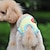 זול בגדים לכלבים-כלבים חתולים מכנסיים בגדי גור פסים פירות סגנון מתוק עיצוב מיוחד בגדים לכלבים בגדי גור תלבושות לכלבים לבן אדום כחול תחפושות לכלבת ילדה וילד כותנה S M L XL