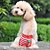 זול בגדים לכלבים-כלבים חתולים מכנסיים בגדי גור פסים פירות סגנון מתוק עיצוב מיוחד בגדים לכלבים בגדי גור תלבושות לכלבים לבן אדום כחול תחפושות לכלבת ילדה וילד כותנה S M L XL