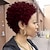 abordables Pelucas naturales de malla-Mezcla de cabello humano Peluca Corta Rizado Corte Pixie Peinados cortos 2020 Berry Rizado Naturaleza Negro Para mujeres de color Hecho a Máquina Mujer Negro Natural Marrón Medio Vino oscuro