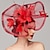 abordables Tocados-flores pluma red kentucky derby sombrero tocados tocado con pluma floral 1pc carrera de caballos damas día melbourne copa tocado