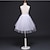 cheap Historical &amp; Vintage Costumes-Black Swan Petticoat Hoop Skirt Tutu Under Skirt 1950s White Black / Crinoline