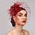 Χαμηλού Κόστους Fascinators-φτερό / δίχτυ fascinators καπέλο kentucky derby / headpiece με φτερό / floral / λουλούδι 1 τεμ. γάμος / ειδική περίσταση / κεφαλή ιπποδρομιών