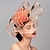 cheap Fascinators-Elegant &amp; Luxurious Feather Linen Rayon Kentucky Derby Hat Fascinators Headpiece with Feather Floral Flower 1PC Melbourne Cup Wedding Horse Race Ladies Day Headpiece