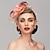 povoljno Fascinatori-elegantan i luksuzan pokrivalo za glavu s pernatim cvjetnim cvijetom 1kom vjenčani melbourne kup kentucky derby pokrivalo za konjske utrke