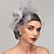 cheap Fascinators-Feather / Net Fascinators Kentucky Derby Hat / Headpiece with Feather / Floral / Flower 1PC Wedding / Special Occasion / Horse Race Headpiece