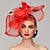 olcso Kalapok és fejdíszek-virágok tollháló kentucky derby kalap lenyűgöző fejfedő tollal virágos 1db lóverseny női napi melbourne kupa fejdísz