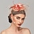 billige Coiffer-elegante og luksuriøse fjærfascinatorer hodeplagg med fjær blomsterblomst 1 stk bryllup melbourne cup kentucky derby hesteveddeløp hodeplagg