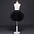 זול תחפושות מהעולם הישן-ברבור שחור שמלה תחתית טוטו מתחת לחצאית שנות ה-50 לבן שחור / קרינולינה