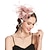 economico Fascinator-fascinators Accessori per capelli Tulle Tè Corsa di cavalli Festa delle donne Elegante Retrò Con Piume Floreale Copricapo Copricapo