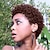 cheap Human Hair Capless Wigs-Human Hair Blend Wig Short Curly Jerry Curl Short Hairstyles 2020 Berry Curly Jerry Curl African American Wig For Black Women Machine Made Women&#039;s Natural Black #1B Dark Burgundy Medium Brown