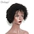 cheap Human Hair Wigs-Dolago Mongolian Afro Kinky Curly Full Lace Human Hair Wigs for Black Women 130% Density Short Bob Wigs