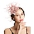 tanie Kapelusze i fascynatory-Fascynatorzy Nakrycie głowy Tiul Herbaciane przyjęcie Wyścigi konne Dzień Kobiet Elegancja Retro Z Pióro Kwiat Winieta Nakrycia Głowy