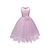 cheap Party Dresses-Kids Little Girls&#039; Dress Solid Colored Flower Tulle Dress Daily Layered Lace Purple Blushing Pink White Sleeveless Basic Dresses 3-12 Years