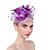 cheap Fascinators-Feathers / Net Fascinators / Headdress with Feather 1 Piece Wedding / Special Occasion Headpiece