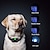 billige Hundetræning og -adfærd-Hunde Krave Anti-gø Elektrisk Fjernbetjening Vibrering Fjernstyret Lyd Vibrering 2 i 1 Klassisk Sort