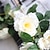 Недорогие Искусственные цветы-Искусственные Цветы 1 Филиал С креплением на стену подвешенный Свадьба Пастораль Стиль Розы Цветы на стену