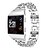 levne Pásky k chytrým hodinkám-Watch kapela pro Fitbit ionic Fitbit Sportovní značka Nerez Poutko na zápěstí