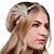 cheap Cosplay &amp; Costumes-The Great Gatsby Roaring 20s 1920s Flapper Headband Women&#039;s Costume Golden / White / Black Vintage Cosplay