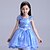 cheap Movie &amp; TV Theme Costumes-Princess Cinderella Cosplay Costume Flower Girl Dress Kid&#039;s Girls&#039; A-Line Slip Dresses Mesh Christmas Halloween Carnival Festival / Holiday Tulle Cotton Blue Carnival Costumes Lace