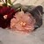 ieftine Casca de Nunta-Fabrics Hair Clip with Floral 3 Pieces Wedding / Party / Evening Headpiece