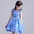 cheap Movie &amp; TV Theme Costumes-Princess Cinderella Cosplay Costume Flower Girl Dress Kid&#039;s Girls&#039; A-Line Slip Dresses Mesh Christmas Halloween Carnival Festival / Holiday Tulle Cotton Blue Carnival Costumes Lace