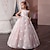abordables Robes de fête-Kids Little Girls&#039; Dress Floral Tulle Dress Party Holiday Mesh Lace Print White Pink Beige Cotton Maxi Sleeveless Vintage Sweet Dresses Fall Spring Regular Fit