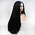 cheap Synthetic Lace Wigs-Synthetic Lace Front Wig kinky Straight Layered Haircut Wig Long Natural Black Synthetic Hair 24 inch Women&#039;s Women Black Sylvia