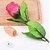 Χαμηλού Κόστους Παιχνίδια-Μαγικά κόλπα Τριαντάφυλλα Λουλούδι Lovely Comfy Όλα Δώρο 1 pcs Τριανταφυλλί / 14 ετών +