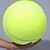 Недорогие Скульптуры-24 см собака теннисный мяч гигантская игрушка для домашних животных теннисный мяч жевательная игрушка подпись мега джамбо детская игрушка мяч