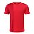 baratos Футболки и рубашки-SUMMITGLORY® Men&#039;s Hiking Tee shirt Outdoor Quick Dry Breathability Sweat-Wicking Tee / T-shirt Summer POLY Red Grey Fitness Jogging