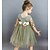 お買い得  カジュアルドレス-幼児 リトル 女の子 ドレス ソリッド 幾何学模様 日常 ホワイト グリーン 膝丈 長袖 活発的 ドレス レギュラー