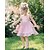 Χαμηλού Κόστους Βρεφικά Φορέματα για Κορίτσια-Μωρό Κοριτσίστικα Βασικό Dusty Rose Μονόχρωμο Αμάνικο Βαμβάκι Φόρεμα Ανθισμένο Ροζ / Νήπιο