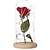 ieftine Lumini Decor &amp; Noapte-lumini LED cu trandafir pentru totdeauna cadou pentru aniversarea nunții ziua îndrăgostiților lumini în dom de sticlă pe bază de lemn